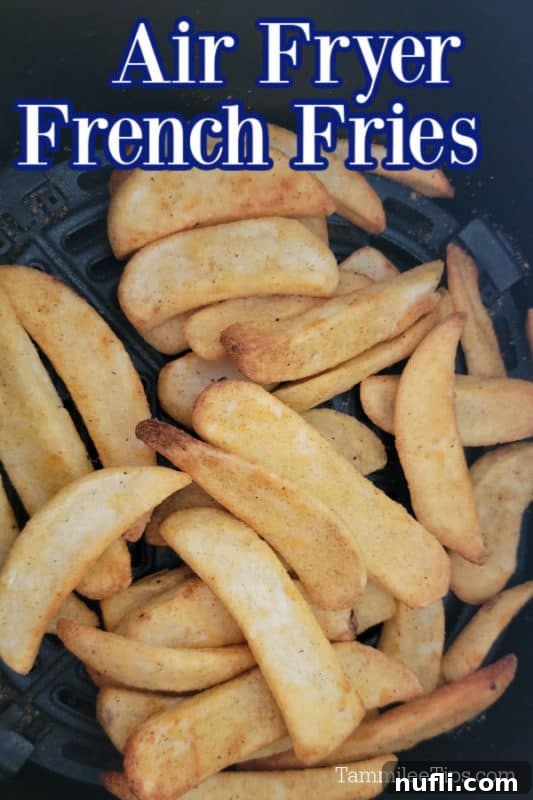 30 Simple Flavorful Vegetarian Air Fryer Dishes 21 Air Fryer French Fries text over french fries in the air fryer basket
