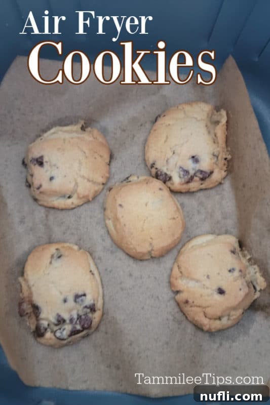 30 Simple Flavorful Vegetarian Air Fryer Dishes 25 Air Fryer Cookies text over parchment paper with five chocolate chip cookies in the air fryer basket