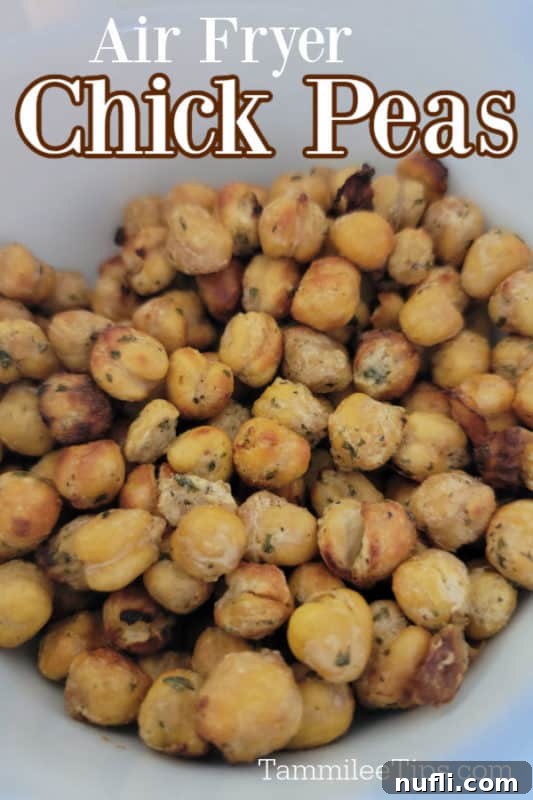 30 Simple Flavorful Vegetarian Air Fryer Dishes 9 Air Fryer Chick Peas text over a white bowl with ranch chick peas