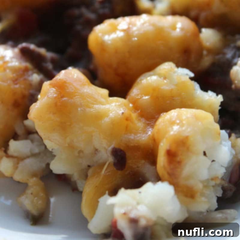 Tater tot casserole with melted cheese on a white plate