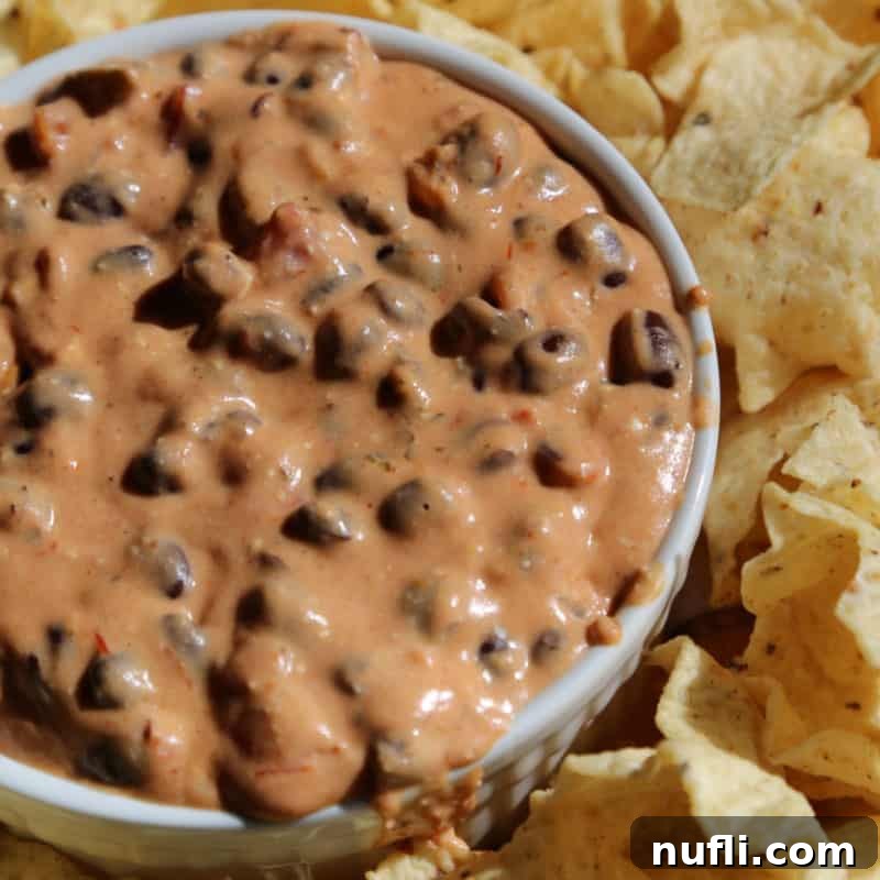 Creamy Crock Pot Black Bean Queso Dip in a white bowl, surrounded by crispy tortilla chips