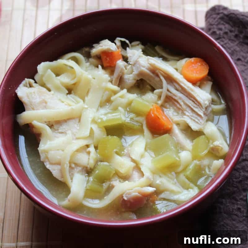 Classic Crockpot Chicken Noodle Soup, brimming with tender chicken, noodles, carrots, and celery, served in a warm red bowl.