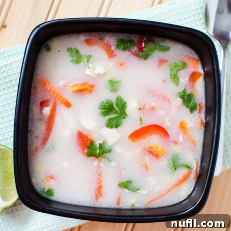 A rich Thai Coconut Milk Chicken Soup in a dark bowl, ready to be savored, with a spoon nearby.