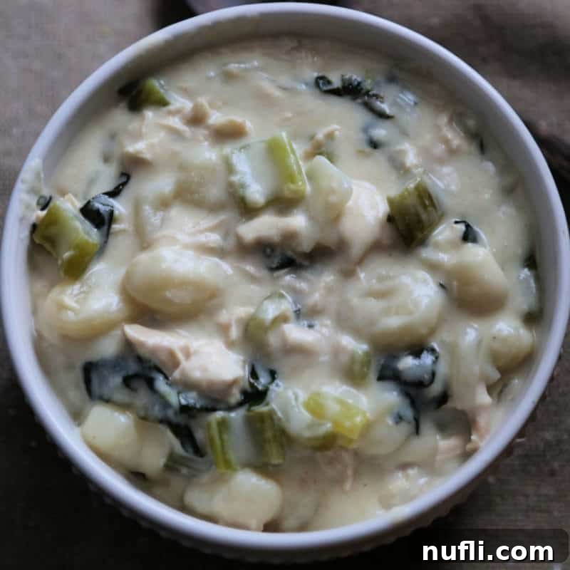 A delightful Olive Garden Chicken Gnocchi Soup, brimming with tender chicken and celery, served in a classic white bowl.