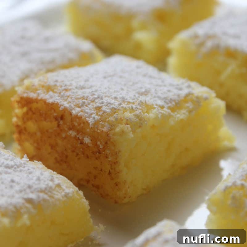 2 Ingredient Lemon Bars with powdered sugar garnish