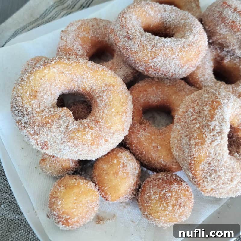 Biscuit Donuts piled on a white plate with cinnamon sugar
