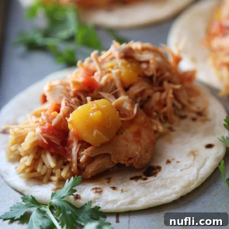 Three Ingredient Feasts Simple Scrumptious 22 Mango Salsa Chicken on rice and a tortilla shell
