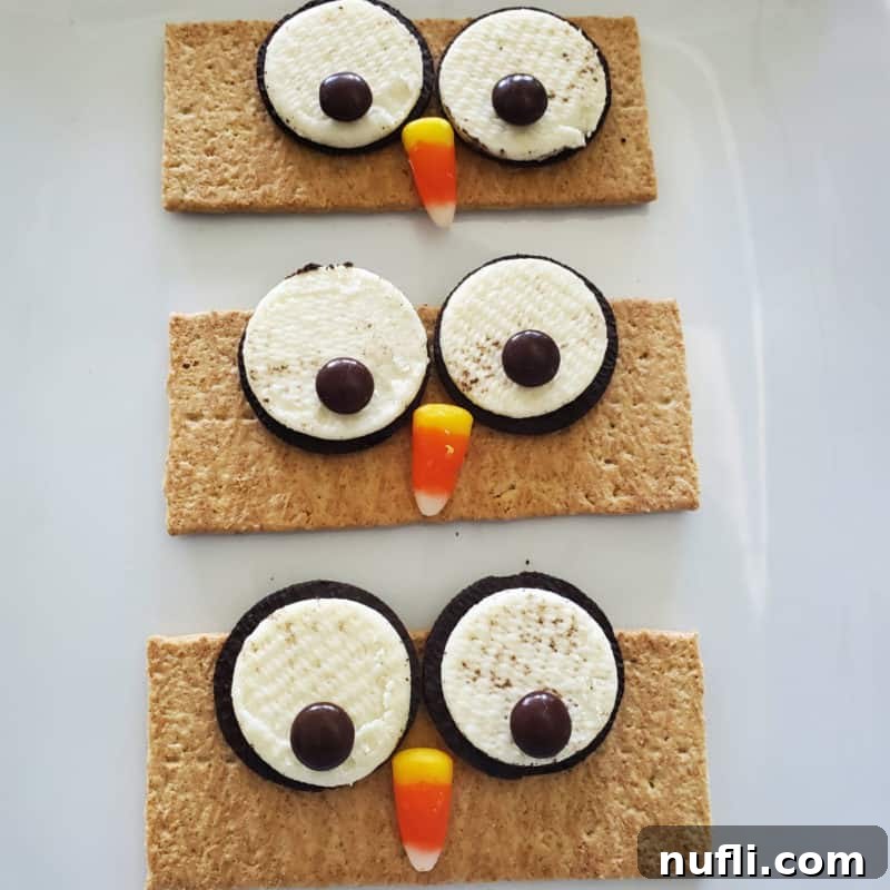 Cozy Autumn Treats You'll Love 9 Adorable Graham Cracker Owls whimsically arranged on a pristine white platter, showcasing their charming details crafted from cookies and candy.