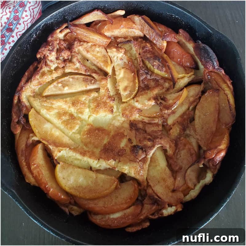 Puffy German Apple Pancake baked to perfection in a cast iron skillet, brimming with cinnamon apples.