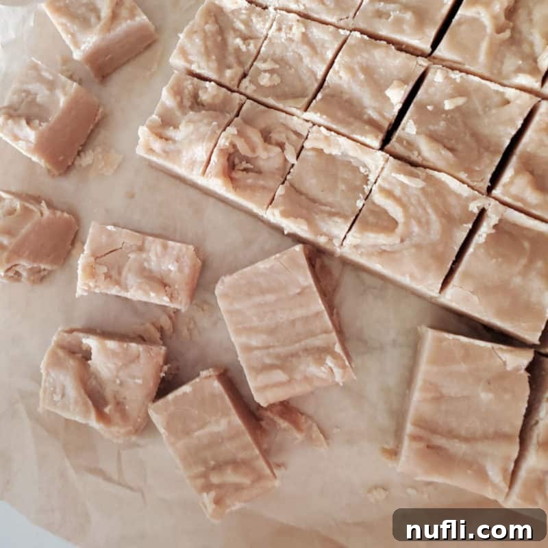 Irresistible Peanut Butter Creations 11 Squares of 4 Ingredient Peanut Butter Fudge on parchment paper
