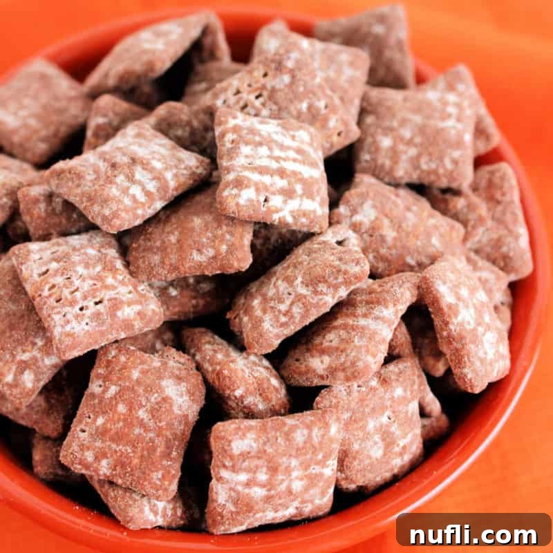 Irresistible Peanut Butter Creations 13 Chocolate Peanut Butter Muddy Buddies in a bowl
