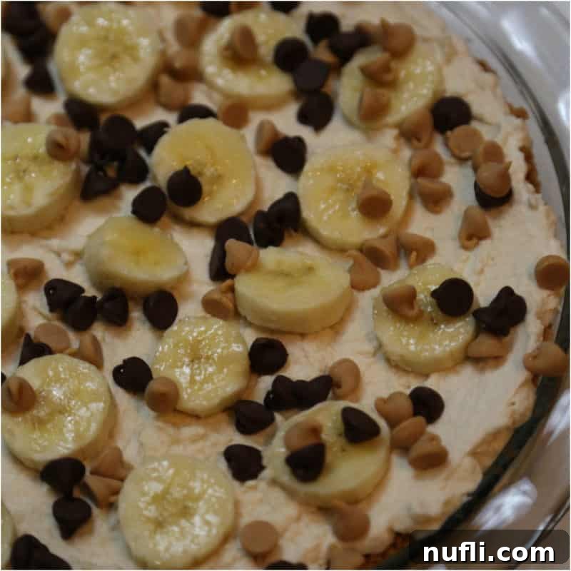Irresistible Peanut Butter Creations 17 banana slices and chocolate chips on a no bake peanut butter pie