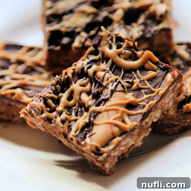 Irresistible Peanut Butter Creations 23 No Bake Chocolate Oatmeal Bars piled on a white plate