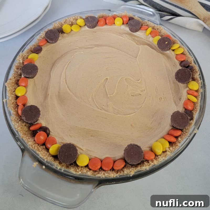 Irresistible Peanut Butter Creations 5 No bake peanut butter pie rimmed in reeses pieces