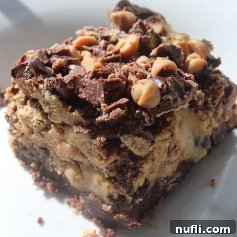 Irresistible Peanut Butter Creations 6 Chocolate Peanut Butter Brownie on a white plate