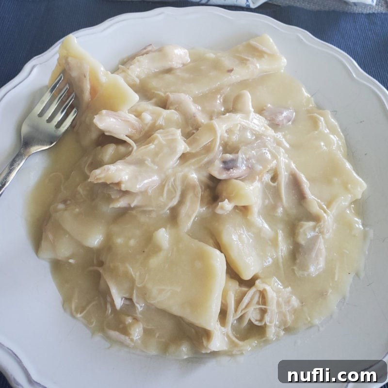 A white plate holding a serving of warm Cracker Barrel Chicken and Dumplings, a classic Southern comfort food dish.