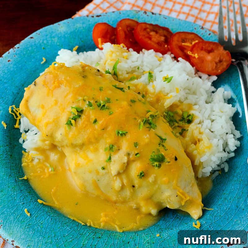A blue plate showcasing creamy, cheesy chicken and rice, accompanied by fresh tomatoes and a fork.