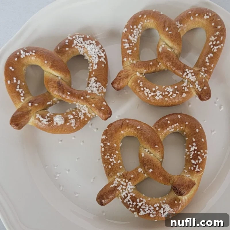 Perfectly air-fried pretzels, golden and crispy with a delightful sprinkle of salt, presented on a simple white plate.