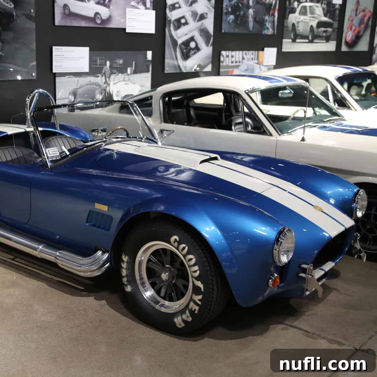 Blue and white striped Shelby next to additional cars with photos on the wall at the Shelby Museum