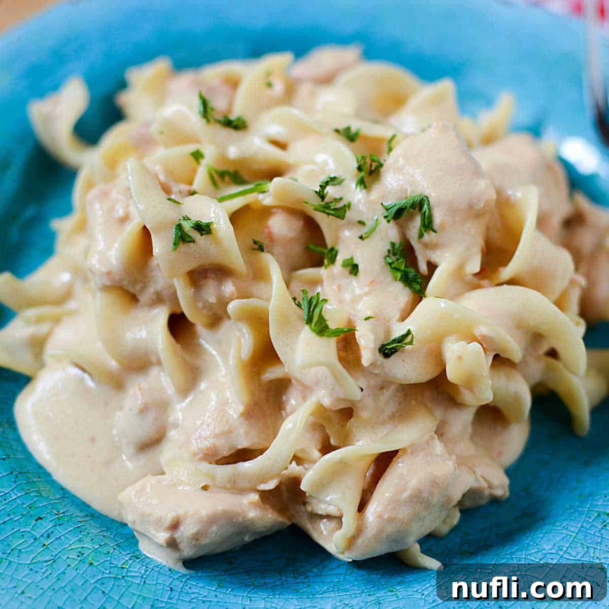 Chicken stroganoff on a blue plate