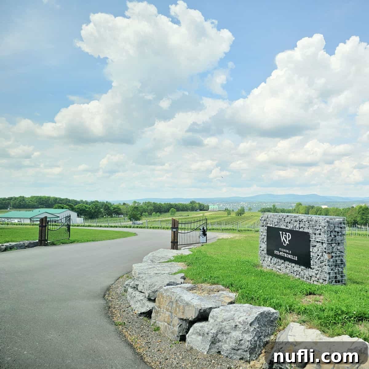 The elegant 'VSP' sign marking the entrance to Vignoble Ste-Pétronille, with a winding driveway leading down to neat rows of grapevines and the picturesque St. Lawrence River in the distance