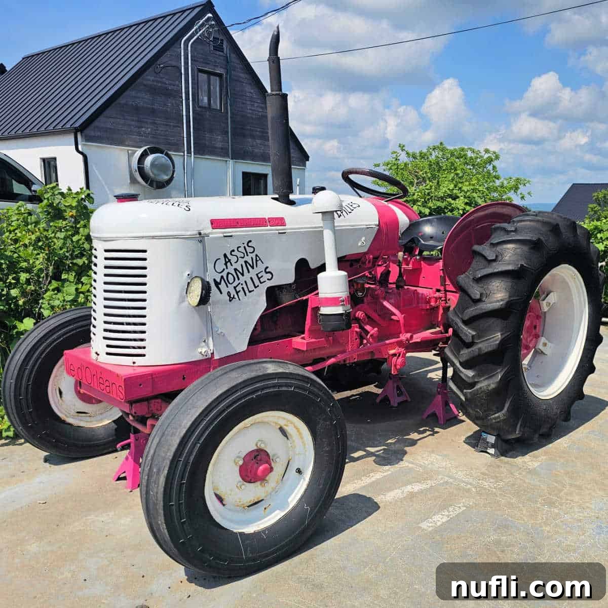 A distinctive pink and white tractor, bearing the 'Cassis Monna & Filles' logo, positioned invitingly near the entrance of the estate