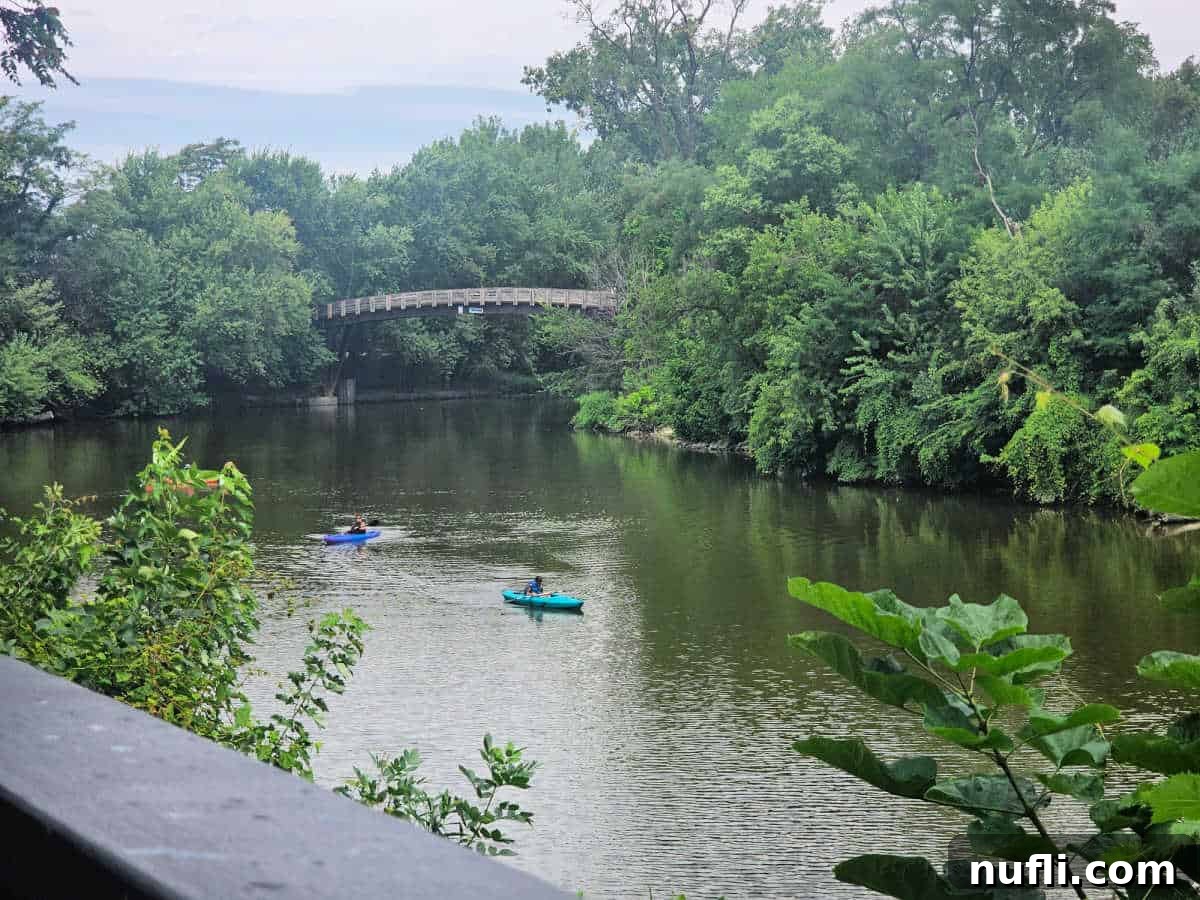 Kayakers on a river with a bridge in the background