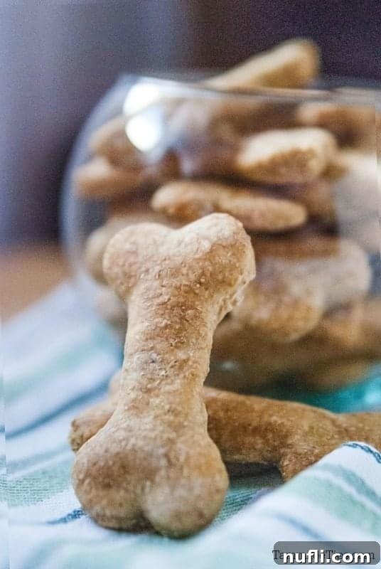 Natural Flea Repellent Dog Biscuits Recipe 2 A golden, bone-shaped dog biscuit stands proudly in front of a rustic bowl overflowing with freshly baked homemade treats, showcasing their appealing texture and shape.