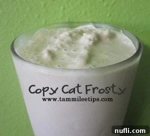 Creamy copycat Frosty in a glass against a green background
