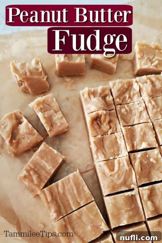 Delicious, easy-to-make peanut butter fudge squares displayed on parchment paper.