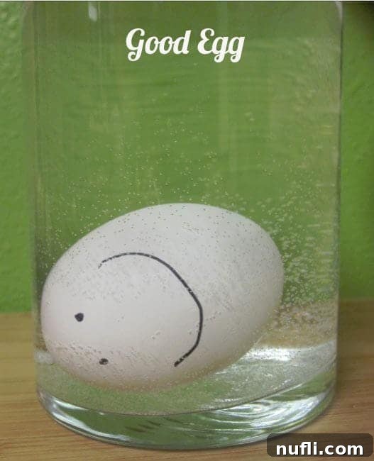 How to perform the egg float test by placing an egg in a bowl of water to check its freshness.