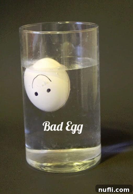 Older but still good egg standing upright in water