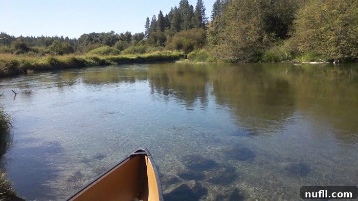 Little Spokane River Float Your Riverside State Park Escape 3 Canoe on the Little Spokane River