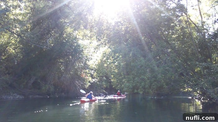 Little Spokane River Float Your Riverside State Park Escape 6 Sun shining down on two kayakers on the Spokane River