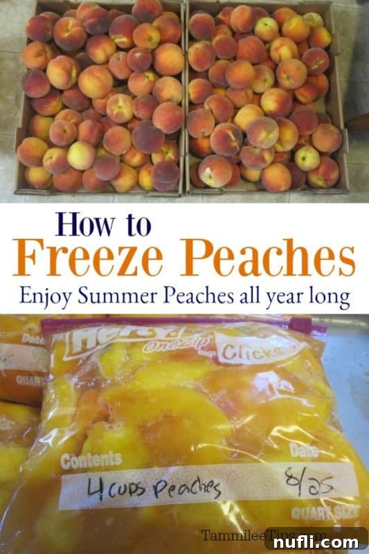 How to freeze peaches with photos of fresh peaches and neatly bagged frozen peaches, ready for the freezer.