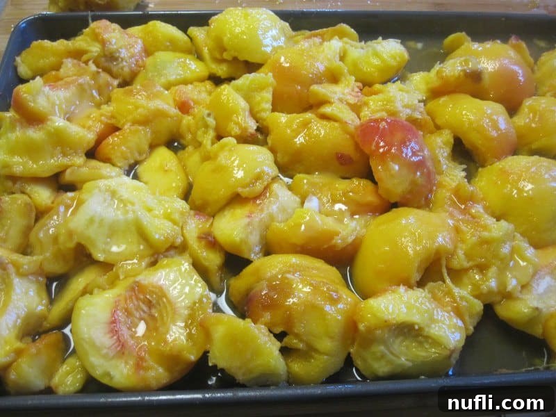 Neatly arranged peach slices on a baking sheet, ready for the next step in the freezing process.