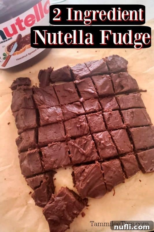 2 Ingredient Nutella Fudge text over a parchment paper with fudge and a jar of Nutella 