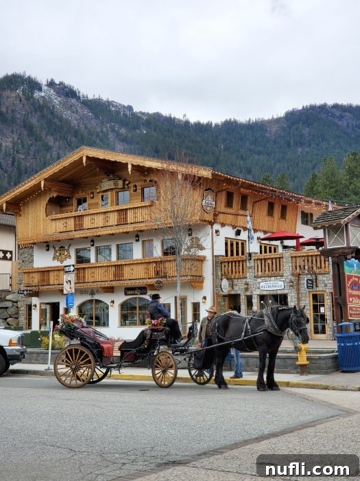 Horse and carriage waiting in front of a charming Bavarian building in Leavenworth.
