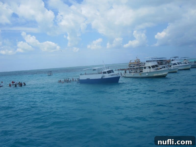 Boats lined up at Stingray city with people in the water