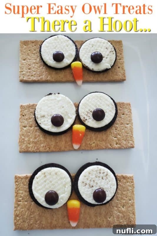 Cute Graham Cracker Owls arranged on a white plate, perfect for fall or Halloween parties