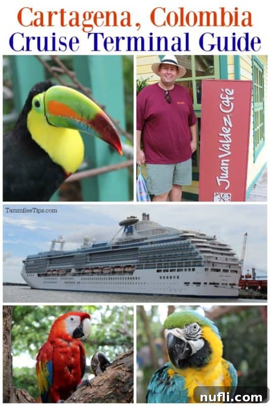 Cartagena Colombia cruise terminal guide with a collage of photos