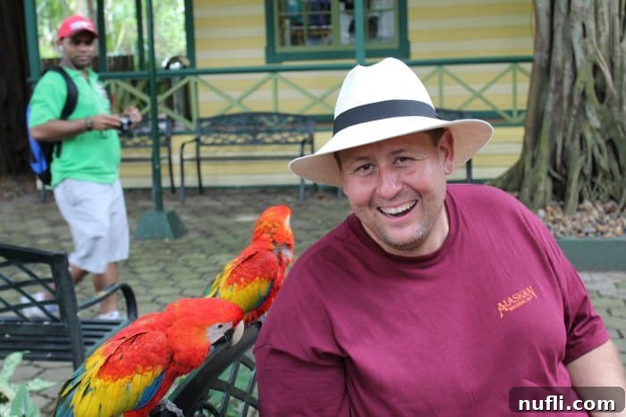 John sitting at a bench with two scarlet macaws