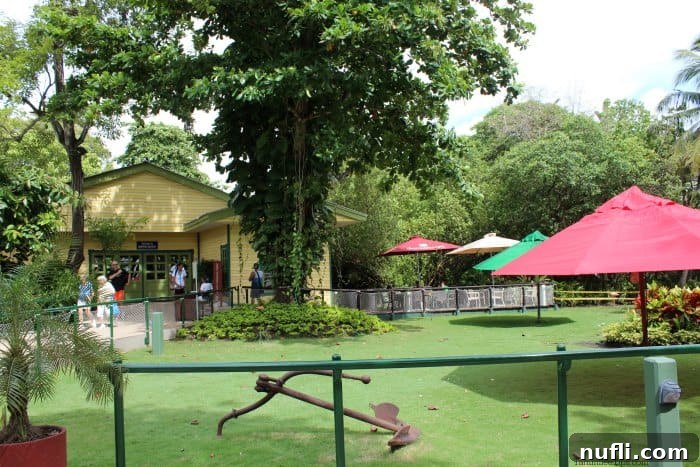 grassy area with umbrellas