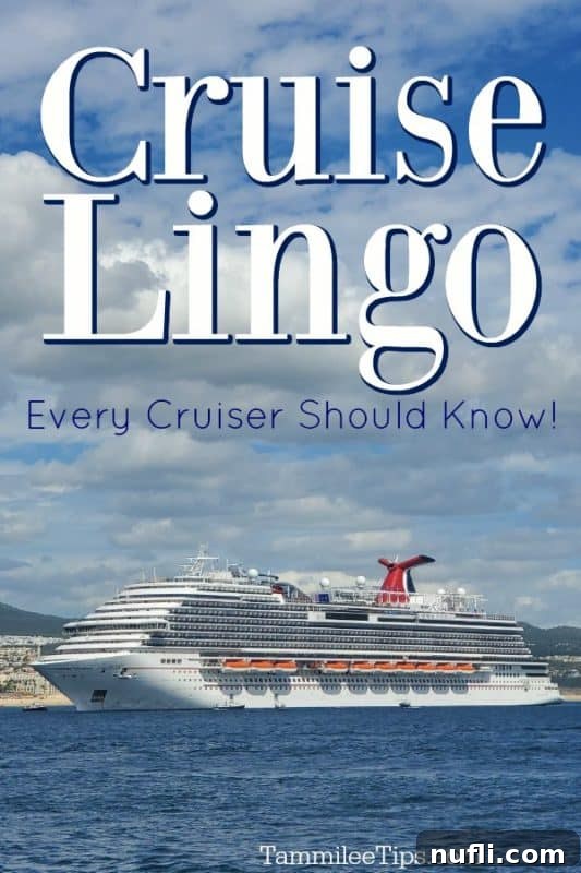 Carnival Cruise Ship at sea with cruise lingo terms overlayed