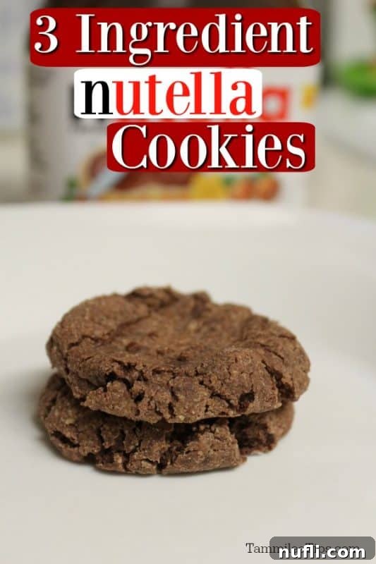 Two freshly baked 3 ingredient Nutella cookies on a white plate, showcasing their rich color and simple charm.