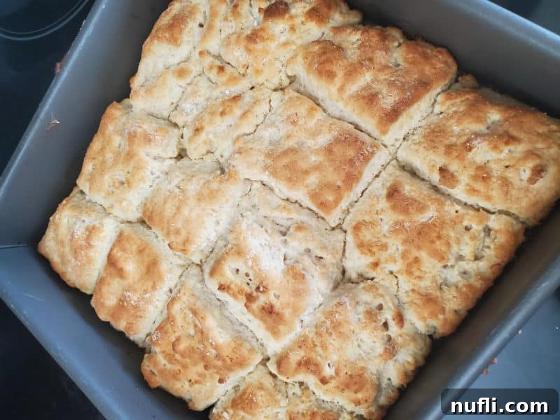 Square 7 up biscuits golden brown, fresh out of the oven in a baking dish