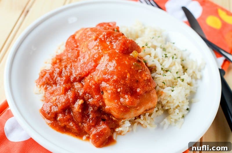 Zesty Slow Cooker Tex-Mex Chicken 3 Close-up of savory Tex-Mex chicken and rice, highlighting the vibrant colors and tender textures, perfect for a satisfying meal.