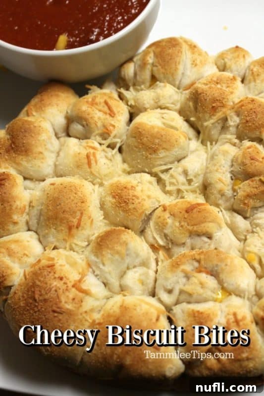 A plate of golden-brown cheesy biscuit bites ready for dipping, with a small bowl of vibrant marinara sauce beside them. Perfect for a quick and easy appetizer.