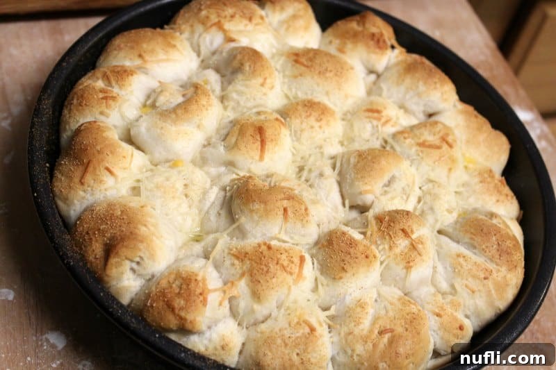 Freshly baked cheesy biscuit balls, golden brown and puffed, cooling slightly in the baking dish, with melted Parmesan forming a delicious crust.