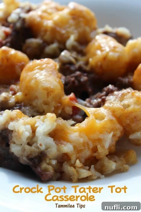 crockpot tater tot casserole on a white plate